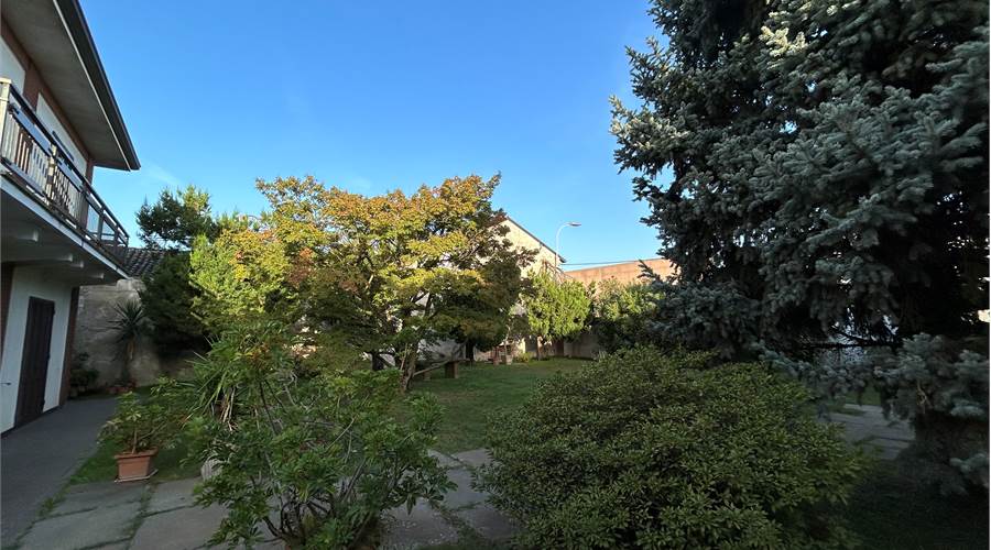 Photo 25